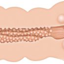 ADAM'S TIGHT STROKER WITH MASSAGE BEADS #1 | ViPstore.hu - Erotika webáruház