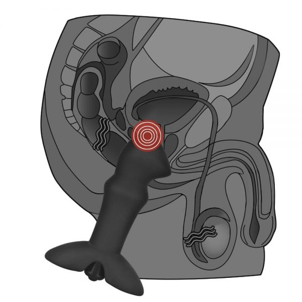 Anal Indulgence Collection Prostate Stud ViPstore.hu - Erotika Webáruház - Szexshop 4