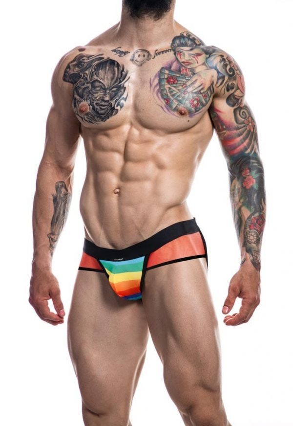C4M-Mixed Jockstrap-Rainbow-M ViPstore.hu - Erotika Webáruház - Szexshop 2