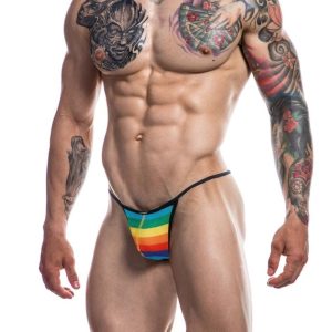 C4M Gstring-RainbowSkai-L ViPstore.hu - Erotika Webáruház - Szexshop 2