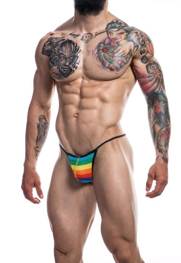 C4M Gstring-RainbowSkai-L ViPstore.hu - Erotika Webáruház - Szexshop 2