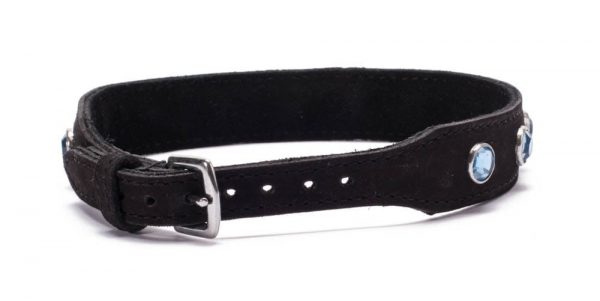 Crystal Collar Light Blue ViPstore.hu - Erotika Webáruház - Szexshop 3