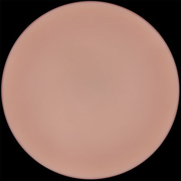 9'' Sliding Skin Pro II Dual Layer Silicone Dong ViPstore.hu - Erotika Webáruház - Szexshop 7