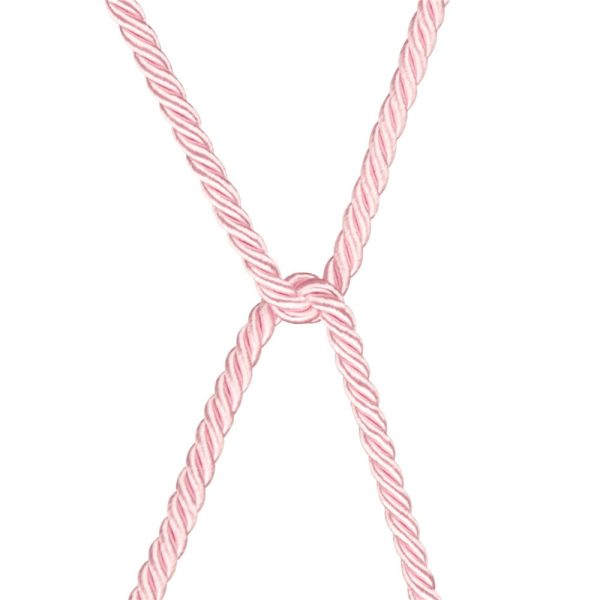 Rebellion Reign Rose Silky Bondage Rope ViPstore.hu - Erotika Webáruház - Szexshop 10