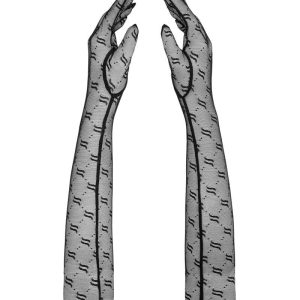 Obsessivia gloves black O/S ViPstore.hu - Erotika Webáruház - Szexshop 2 Obsessivia gloves black O/S ViPstore.hu - Erotika Webáruház - Szexshop 2