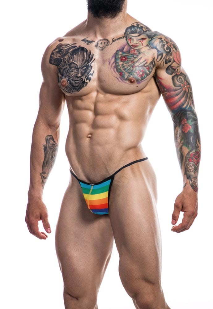 C4M Gstring-RainbowSkai-L | ViPstore.hu - Erotika webáruház #2 - EAN 3760294776643 | SKU C4M0000033