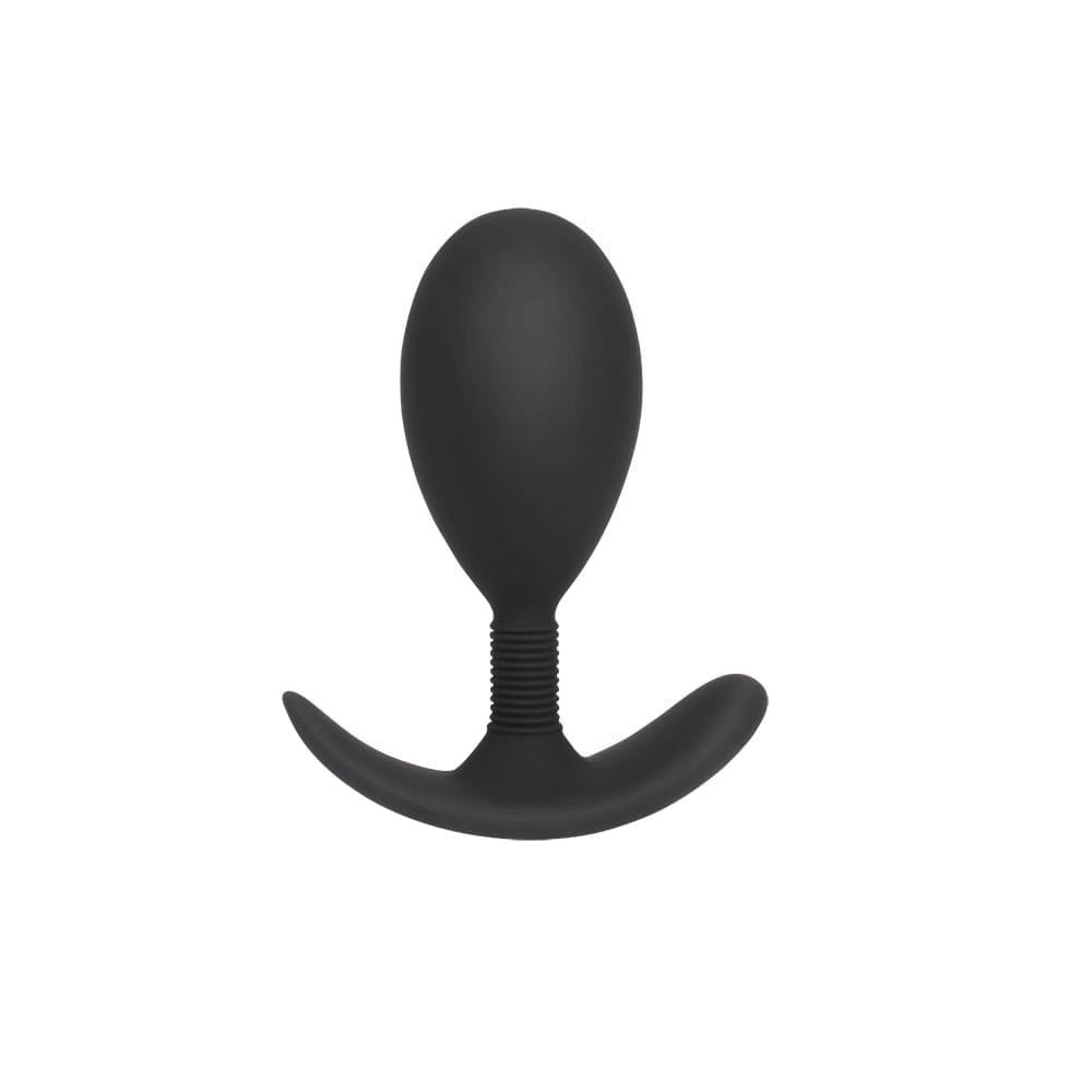 Anal Play Plug L | ViPstore.hu - Erotika webáruház #2 - EAN 759746311726 | SKU CHISA00310