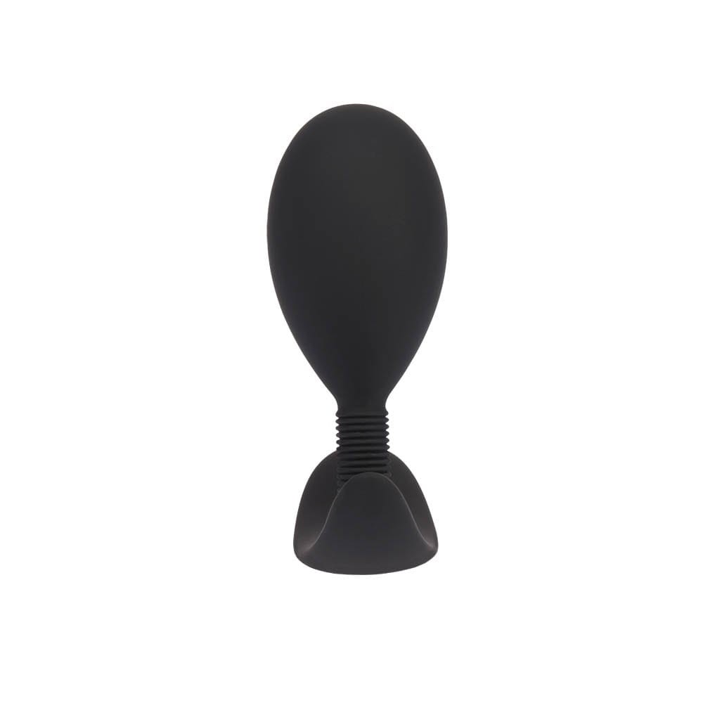 Anal Play Plug L | ViPstore.hu - Erotika webáruház #3 - EAN 759746311726 | SKU CHISA00310