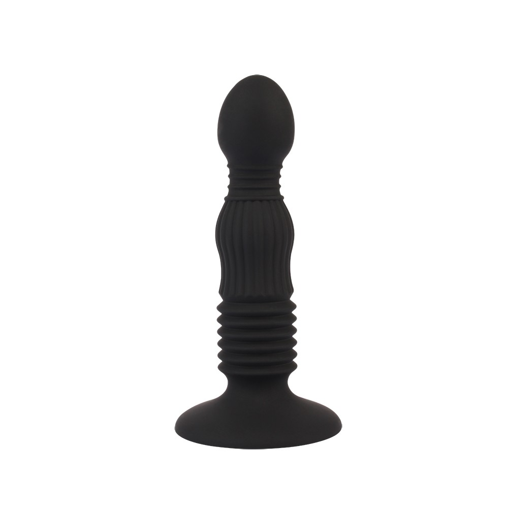 5.5'' Anal Delight Controller | ViPstore.hu - Erotika webáruház #4 - EAN 759746604323 | SKU CHISA00348