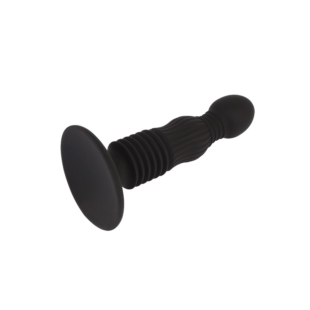5.5'' Anal Delight Controller | ViPstore.hu - Erotika webáruház #5 - EAN 759746604323 | SKU CHISA00348