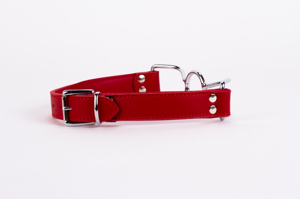 Calf Softy Leather Top and Lamb Leather Padding with Stainless Steel Mouth Piece Red | ViPstore.hu - Erotika webáruház #4 - EAN 5999560510522 | SKU DEVIL00069