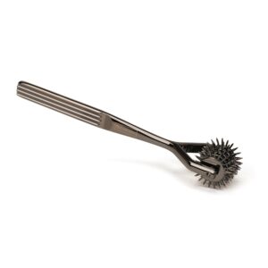 Five-Row Wartenberg Pinwheel Pewter | ViPstore.hu - Erotika webáruház #1 - EAN 4582558003598 | SKU LIEBESE053